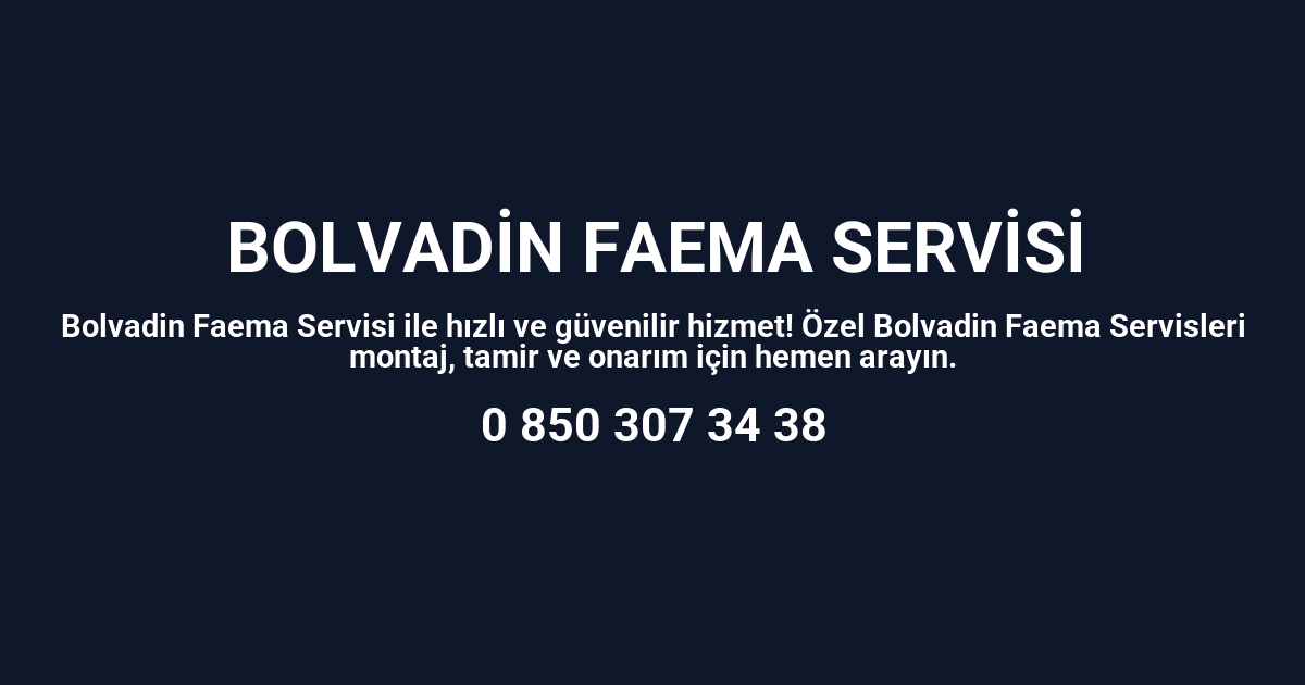 Bolvadin Faema Servisi